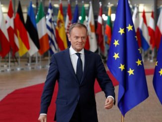 tusk