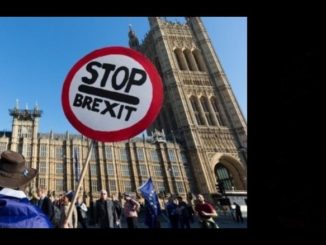 stop brexit