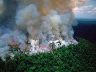 amazzonia in fiamme